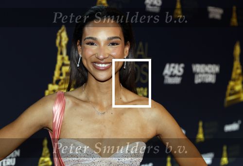 Leusden 24 april 2024
Musical awards Gala bij het Afas Theater in Leusden. Danique Graanoogst
