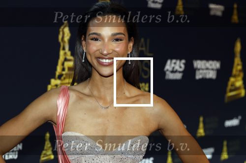 Leusden 24 april 2024
Musical awards Gala bij het Afas Theater in Leusden. Danique Graanoogst