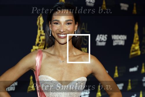Leusden 24 april 2024
Musical awards Gala bij het Afas Theater in Leusden. Danique Graanoogst