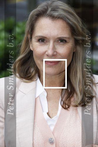 Amsterdam 27 mei 2024
Boekpresentatie Michiel Vos ook zijn vrouw Alexandra Pelosi is aanwezig in het College Hotel. Elle v Rijn