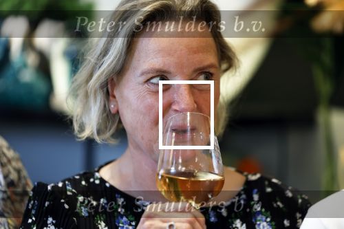 Noordwijk 25 juni 2024
Boek presentatie Timon Moll geschreven door Jan Dijkgraaf over de Familie Meiland . De presentatie was in de winkel van Montana Meiland en ook Martien Meiland en Erica Meiland waren aanwezig.
