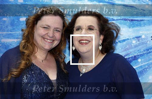 Scheveningen 9 juni 2024
Premiere Frozen in het Afas circustheater. Francis v Broekhuizen kwam met partner en familie