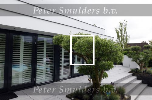Fijnaart 31 mei 2024
BBQ bij fam Bauer in de tuin . Frans Bauer maakt samen met Lee Towers bekend dat hij dit jaar twee keer in Ahoy op graat treden. Aanwezig Frans Bauer Mariska Bauer Christiaan Bauer ( met vriendin Kim) Frans Bauer jr Jan Bauer en Lucas Bauer . Frans en Mariska hebben hun huis laten verbouwen en hebben een prachtig zwembad in de tuin .