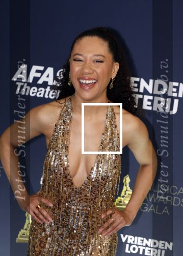 Leusden 24 april 2024
Musical awards Gala bij het Afas Theater in Leusden. Gaia Aikman