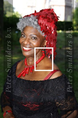 Haarzuilens 26 juni 2024
Nationale haringparty op kasteel de Haar. Gerda havertong