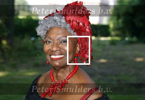 Haarzuilens 26 juni 2024
Nationale haringparty op kasteel de Haar. Gerda havertong
