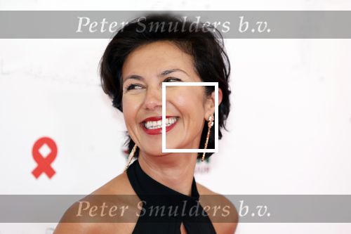 Amsterdam 8 juni 2024
Het Amsterdam diner in AFAS live . Vele Bekende mensen en zakenmensen kwamen naar het gala waar geld opgehaald wordt voor het aids fonds. Gunay Uslu met dochter