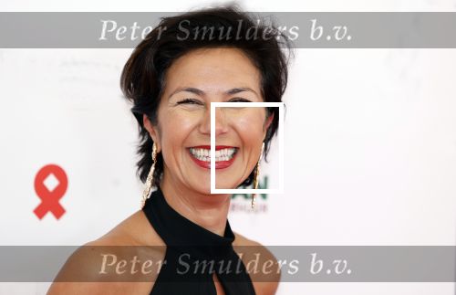 Amsterdam 8 juni 2024
Het Amsterdam diner in AFAS live . Vele Bekende mensen en zakenmensen kwamen naar het gala waar geld opgehaald wordt voor het aids fonds. Gunay Uslu met dochter