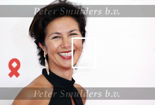 Amsterdam 8 juni 2024
Het Amsterdam diner in AFAS live . Vele Bekende mensen en zakenmensen kwamen naar het gala waar geld opgehaald wordt voor het aids fonds. Gunay Uslu met dochter