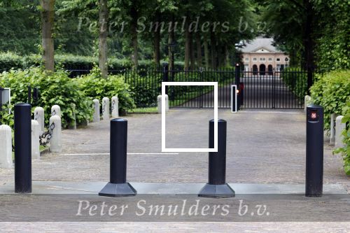 Den Haag 7 juni 2024
Fotouurte met de koninklijke familie op Huis ten Bosch .
Aanwezig Koning Willem Alexander Koningin Maxima Prinses Amalia Prinses Alexia Prinses Ariane en hun hondje Rambo.