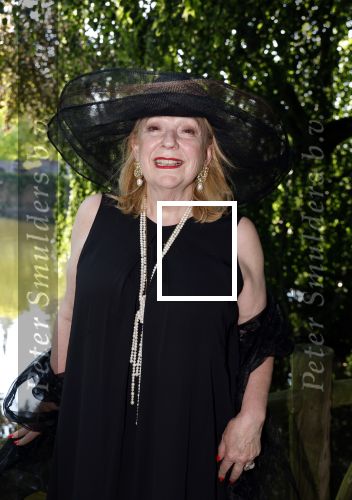 Haarzuilens 26 juni 2024
Nationale haringparty op kasteel de Haar. Janny v d Heijden
