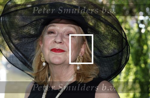 Haarzuilens 26 juni 2024
Nationale haringparty op kasteel de Haar. Janny v d Heijden