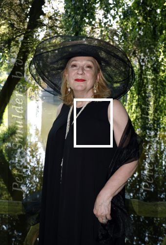 Haarzuilens 26 juni 2024
Nationale haringparty op kasteel de Haar. Janny v d Heijden