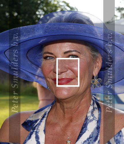 Haarzuilens 26 juni 2024
Nationale haringparty op kasteel de Haar. Justine Marcella