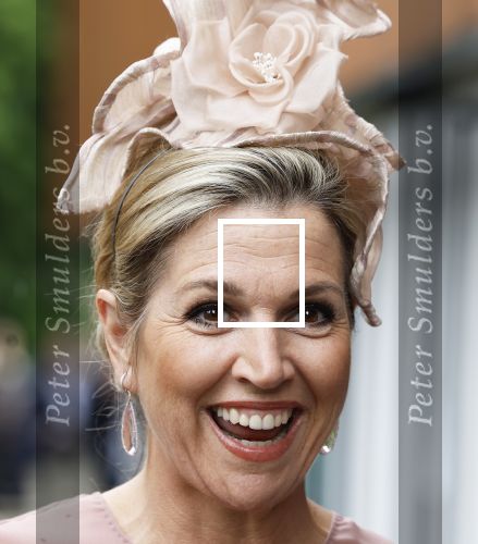 Amsterdam 29 mei 2024
Koningin Maxima bezoekt Codam College dat 5 jaar bestaat . Corinne Goddijn begeleidt haar . Ook prins Constantijn is aanwezig.