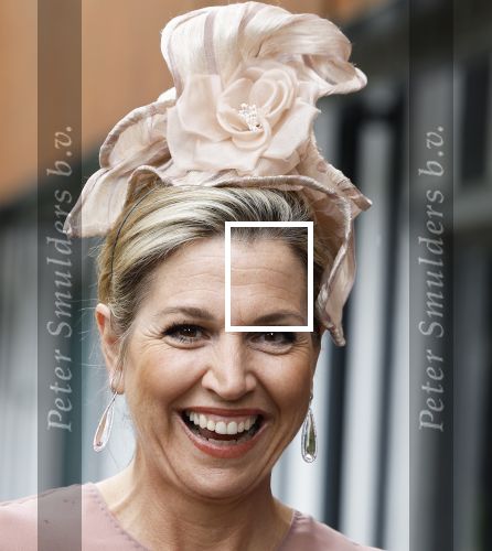 Amsterdam 29 mei 2024
Koningin Maxima bezoekt Codam College dat 5 jaar bestaat . Corinne Goddijn begeleidt haar . Ook prins Constantijn is aanwezig.
