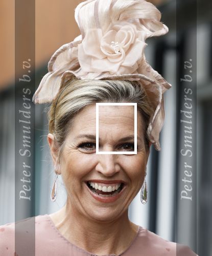 Amsterdam 29 mei 2024
Koningin Maxima bezoekt Codam College dat 5 jaar bestaat . Corinne Goddijn begeleidt haar . Ook prins Constantijn is aanwezig.