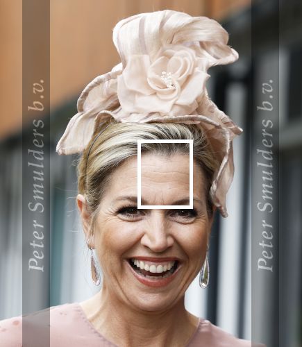 Amsterdam 29 mei 2024
Koningin Maxima bezoekt Codam College dat 5 jaar bestaat . Corinne Goddijn begeleidt haar . Ook prins Constantijn is aanwezig.