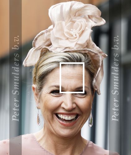 Amsterdam 29 mei 2024
Koningin Maxima bezoekt Codam College dat 5 jaar bestaat . Corinne Goddijn begeleidt haar . Ook prins Constantijn is aanwezig.