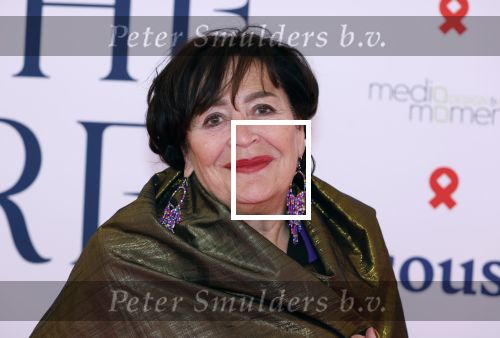 Amsterdam 8 juni 2024
Het Amsterdam diner in AFAS live . Vele Bekende mensen en zakenmensen kwamen naar het gala waar geld opgehaald wordt voor het aids fonds. Liesbeth v Dijk
