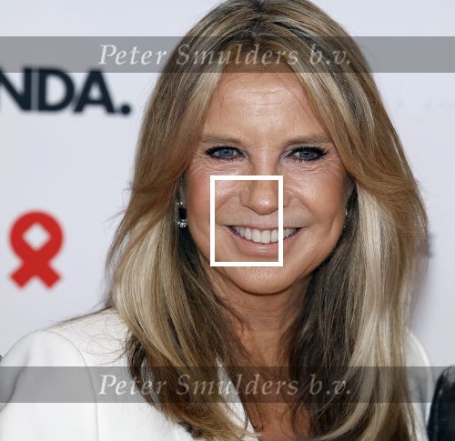 Amsterdam 8 juni 2024
Het Amsterdam diner in AFAS live . Vele Bekende mensen en zakenmensen kwamen naar het gala waar geld opgehaald wordt voor het aids fonds.  Linda de Mol met Iebele van der Meulen. en Roel Veltmeijer