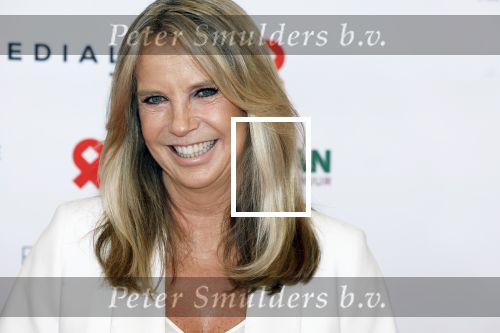 Amsterdam 8 juni 2024
Het Amsterdam diner in AFAS live . Vele Bekende mensen en zakenmensen kwamen naar het gala waar geld opgehaald wordt voor het aids fonds.  Linda de Mol met Iebele van der Meulen. en Roel Veltmeijer