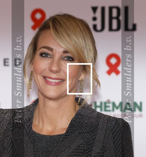 Amsterdam 8 juni 2024
Het Amsterdam diner in AFAS live . Vele Bekende mensen en zakenmensen kwamen naar het gala waar geld opgehaald wordt voor het aids fonds. Harry Mens en Marianne Timmer