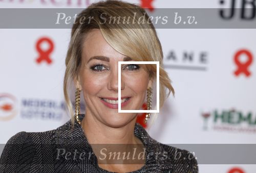 Amsterdam 8 juni 2024
Het Amsterdam diner in AFAS live . Vele Bekende mensen en zakenmensen kwamen naar het gala waar geld opgehaald wordt voor het aids fonds. Harry Mens en Marianne Timmer