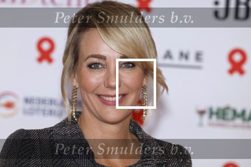 Amsterdam 8 juni 2024
Het Amsterdam diner in AFAS live . Vele Bekende mensen en zakenmensen kwamen naar het gala waar geld opgehaald wordt voor het aids fonds. Harry Mens en Marianne Timmer