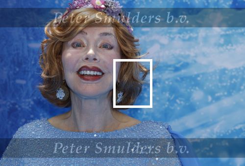 Scheveningen 9 juni 2024
Premiere Frozen in het Afas circustheater. Marijke Helwegen