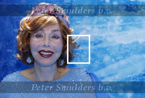 Scheveningen 9 juni 2024
Premiere Frozen in het Afas circustheater. Marijke Helwegen