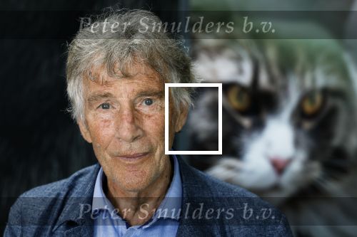 Lelystad 25 juni 2024
Martin Gaus in zijn nieuwe dieren centrum .