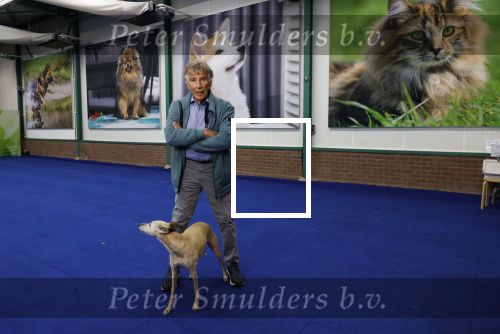 Lelystad 25 juni 2024
Martin Gaus in zijn nieuwe dieren centrum .