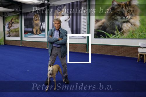 Lelystad 25 juni 2024
Martin Gaus in zijn nieuwe dieren centrum .