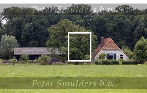 EEfde 22 juni 2024
Mathijs v Nieuwkerk en zijn viendin Martha Riemsma zouden op deze dag trouwen maar huwelijk werd afgeblazen . Deze dag werd er bij hyn huis aan een nieuw zwembad gewerkt.