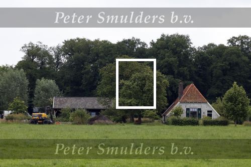 EEfde 22 juni 2024
Mathijs v Nieuwkerk en zijn viendin Martha Riemsma zouden op deze dag trouwen maar huwelijk werd afgeblazen . Deze dag werd er bij hyn huis aan een nieuw zwembad gewerkt.