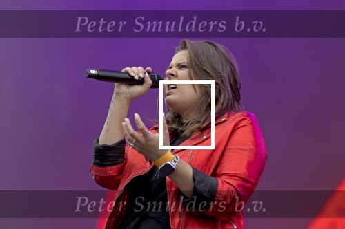 Weert, 12 Juli  13 juli  14 juli 2024
Bospop concerten
Mell VF

Exclusieve foto: Carlo van Hout