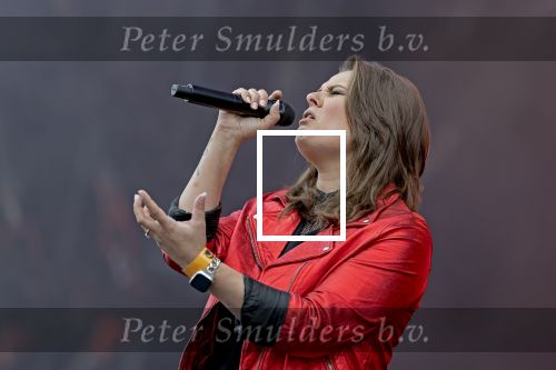 Weert, 12 Juli  13 juli  14 juli 2024
Bospop concerten
Mell VF

Exclusieve foto: Carlo van Hout