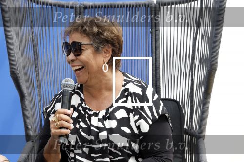 Vijfhuizen 28 mei 2024
Noraly Beyer wordt geinterviewd door Vivian Slingerland op de Libelle zomerweek.