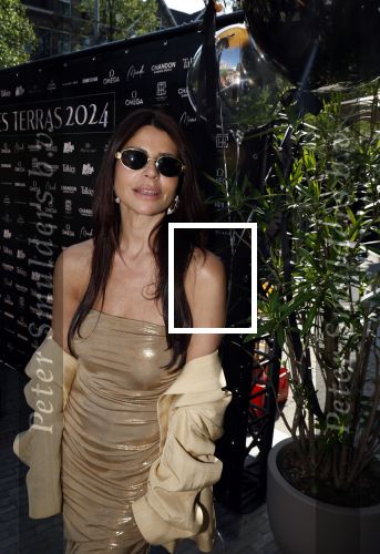 Amsterdam 6 juni 2024
Talkies terras awards bij het College Hotel . Olcay Gulsen met oa Luuk v d Rijt