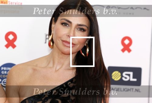 Amsterdam 8 juni 2024
Het Amsterdam diner in AFAS live . Vele Bekende mensen en zakenmensen kwamen naar het gala waar geld opgehaald wordt voor het aids fonds. Olcay Gulsen kwam met haar zussen