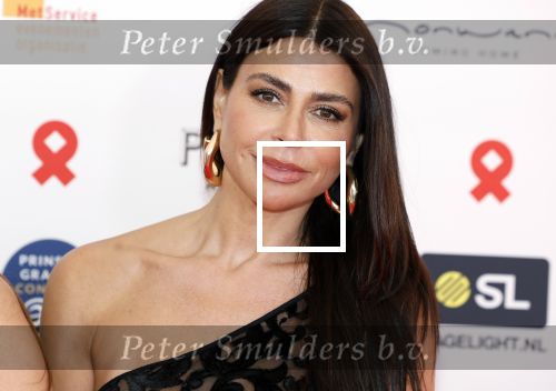 Amsterdam 8 juni 2024
Het Amsterdam diner in AFAS live . Vele Bekende mensen en zakenmensen kwamen naar het gala waar geld opgehaald wordt voor het aids fonds. Olcay Gulsen kwam met haar zussen