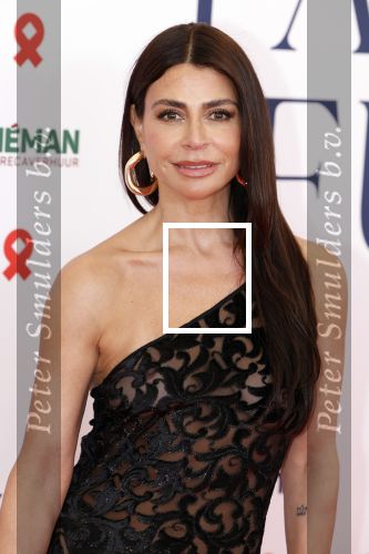 Amsterdam 8 juni 2024
Het Amsterdam diner in AFAS live . Vele Bekende mensen en zakenmensen kwamen naar het gala waar geld opgehaald wordt voor het aids fonds. Olcay Gulsen kwam met haar zussen