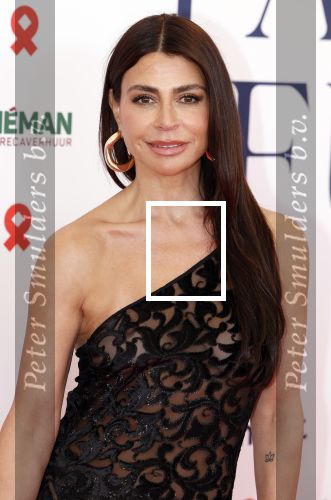 Amsterdam 8 juni 2024
Het Amsterdam diner in AFAS live . Vele Bekende mensen en zakenmensen kwamen naar het gala waar geld opgehaald wordt voor het aids fonds. Olcay Gulsen kwam met haar zussen