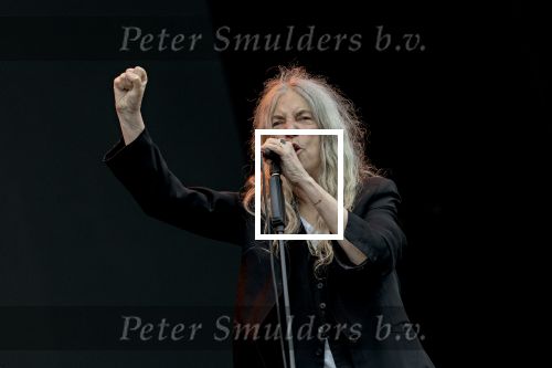 Weert, 12 Juli  13 juli  14 juli 2024
Bospop concerten
Patti Smith

Exclusieve foto: Carlo van Hout