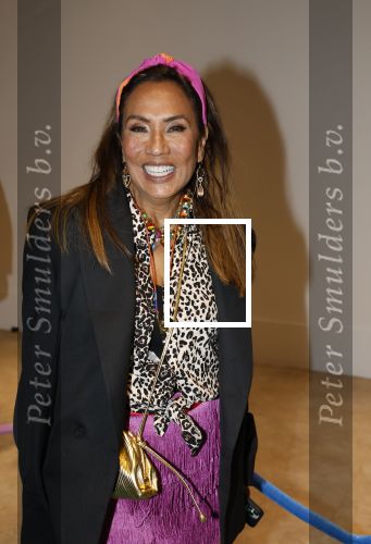 Amsterdam 25 mei 2024
Feestje na concert van de Toppers in de Johan Cruijff Arena. Patty Brard