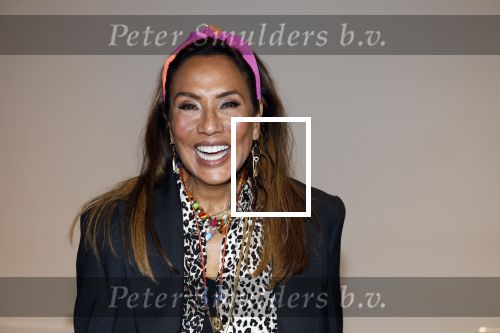 Amsterdam 25 mei 2024
Feestje na concert van de Toppers in de Johan Cruijff Arena. Patty Brard