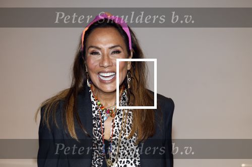 Amsterdam 25 mei 2024
Feestje na concert van de Toppers in de Johan Cruijff Arena. Patty Brard