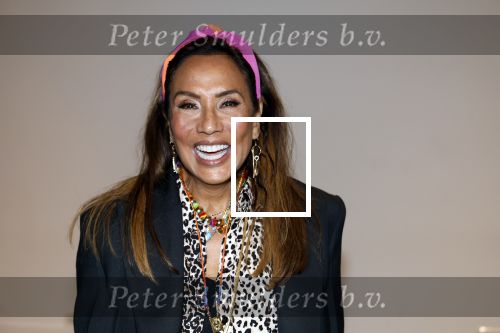 Amsterdam 25 mei 2024
Feestje na concert van de Toppers in de Johan Cruijff Arena. Patty Brard