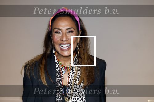 Amsterdam 25 mei 2024
Feestje na concert van de Toppers in de Johan Cruijff Arena. Patty Brard